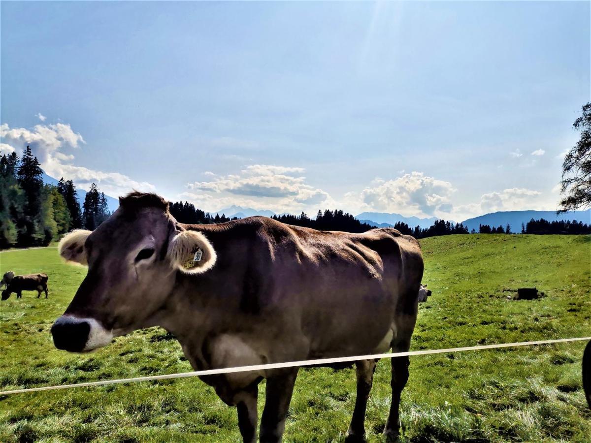 Ferienwohnung Edelweiss Bolsterlang Luaran gambar